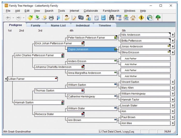 Assign tags, shown in red, to Identify unique characteristics about your ancestors.